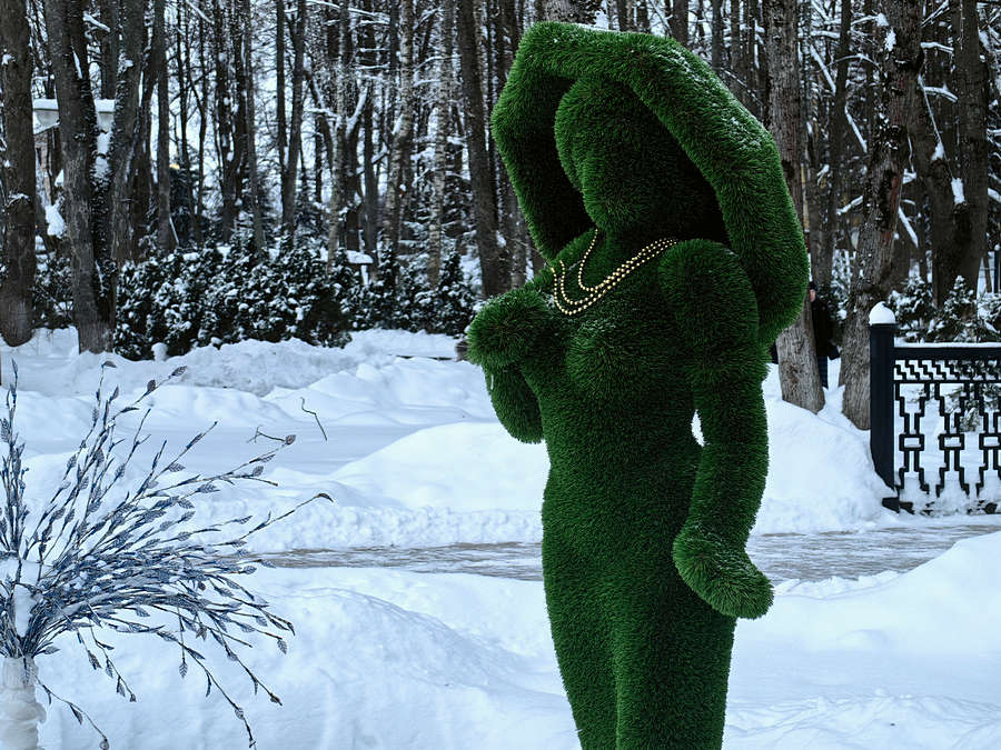 ���������� ���