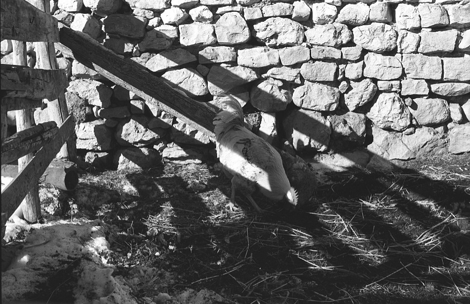 ���������� ***