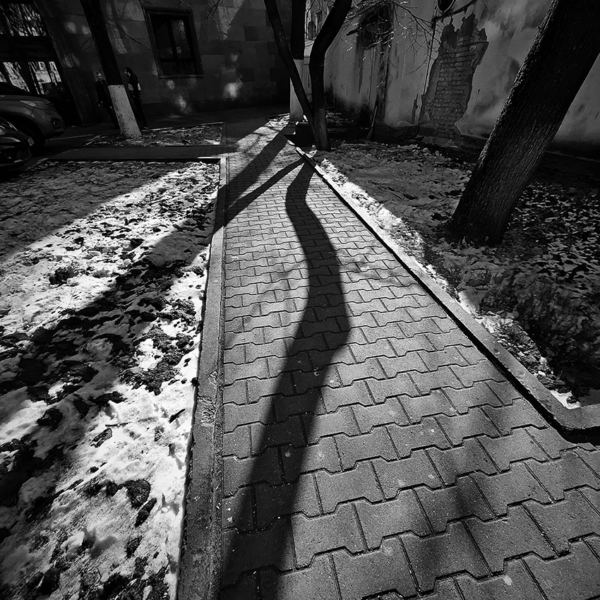 ���������� �������