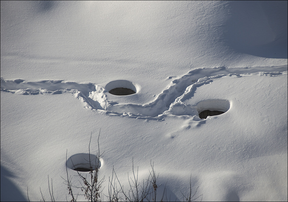 ���������� ������ �������