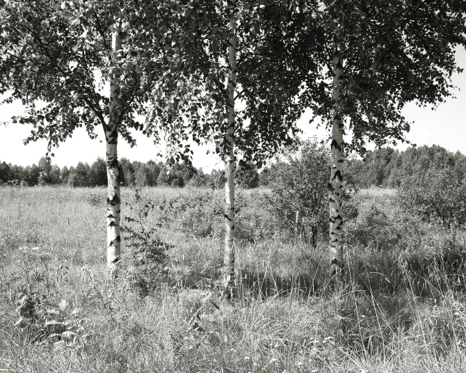 ���������� ����������