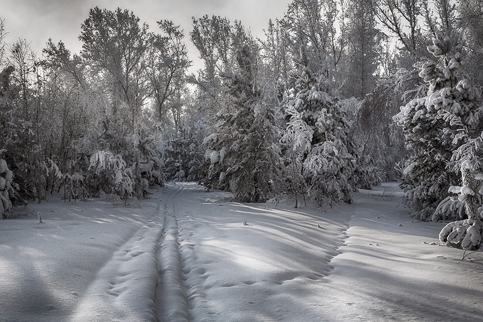 ���������� ****