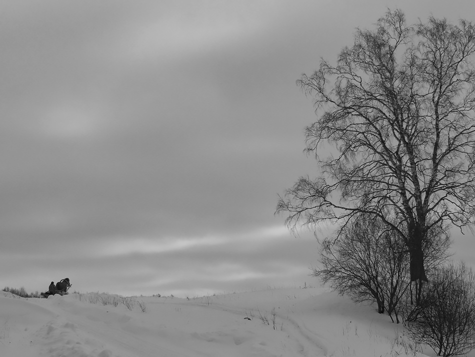 ���������� �����������