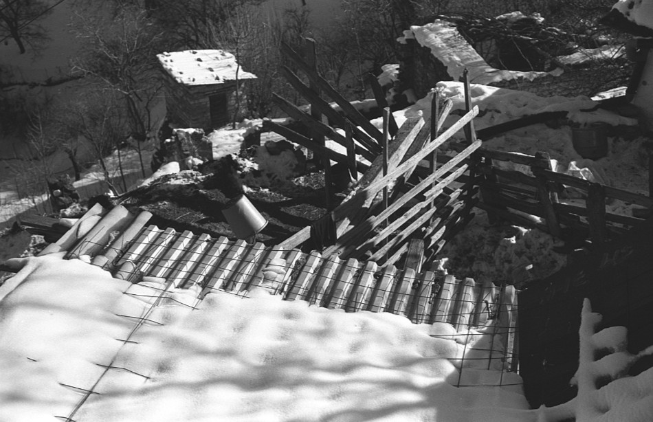 ���������� ***