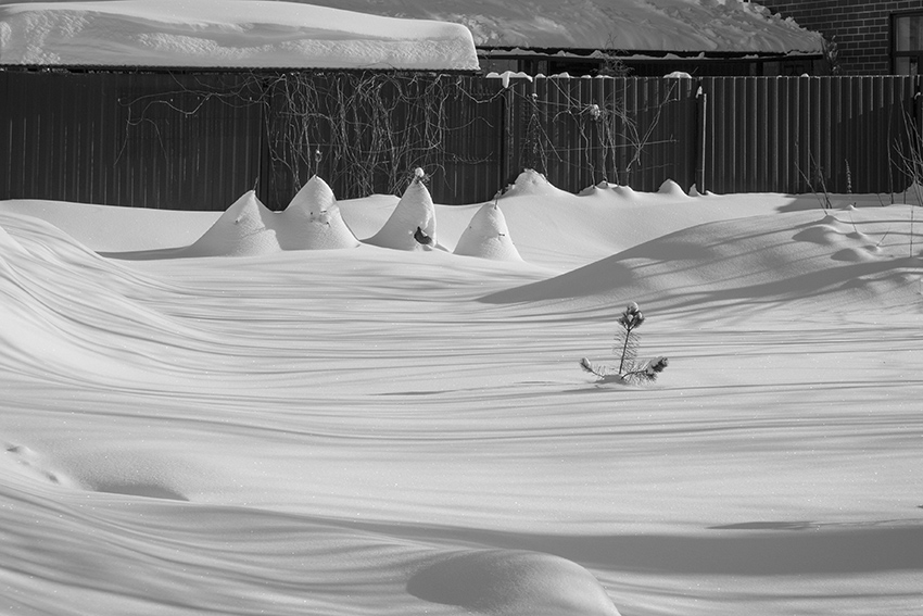 ���������� ***