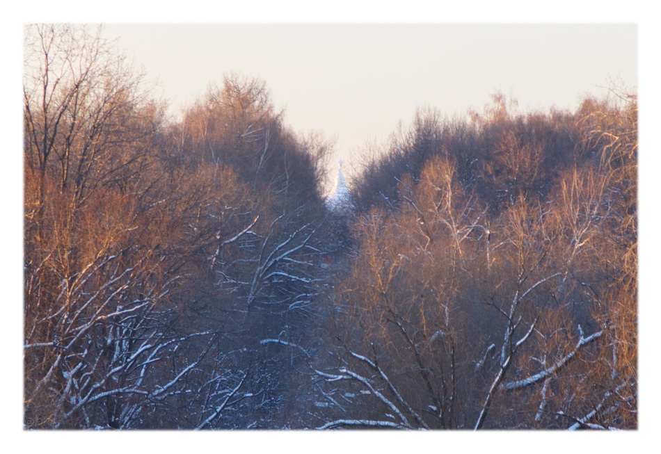 ���������� ***