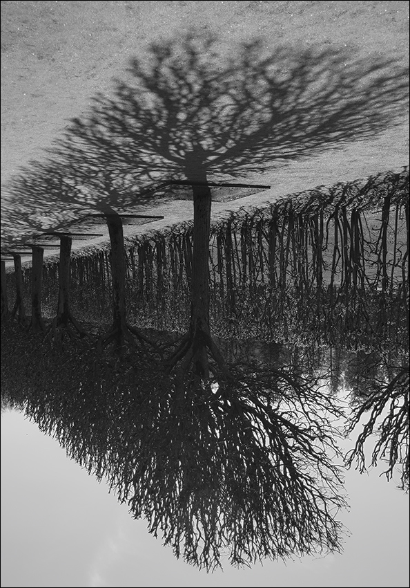 ���������� ������