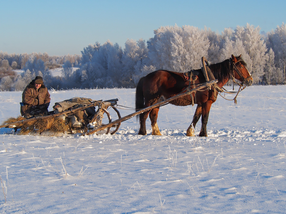 ���������� �������