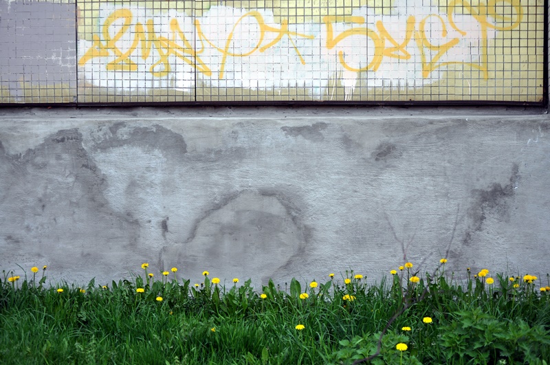 ���������� 9547