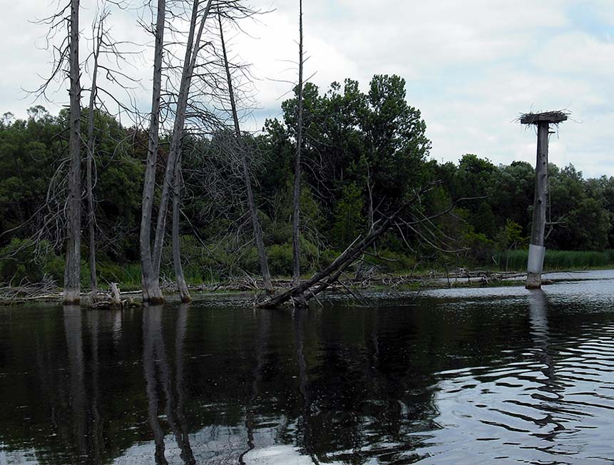 ���������� ������ �����