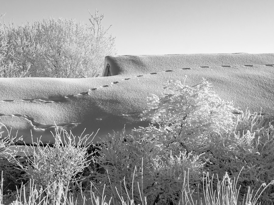 ���������� ***