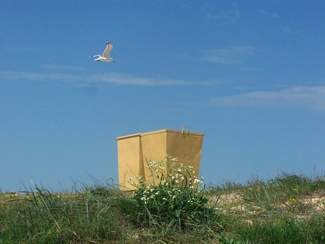 ���������� .