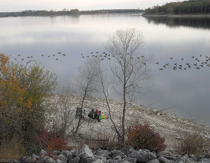 ���������� �����