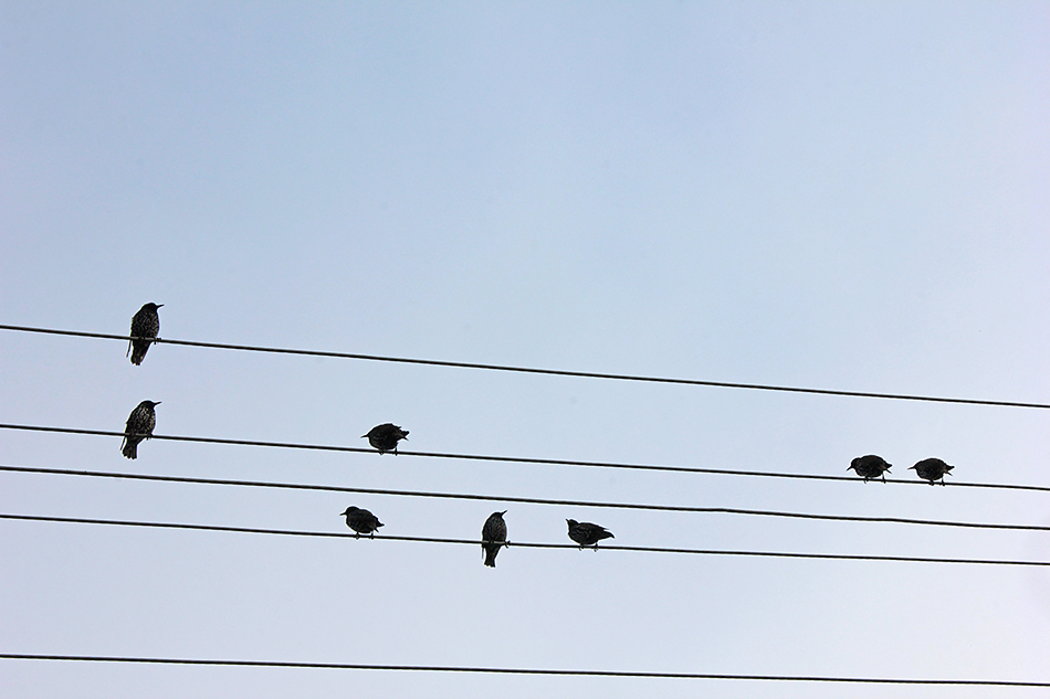 ���������� ������� ����