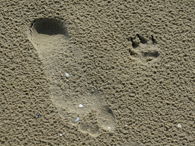 ���������� .