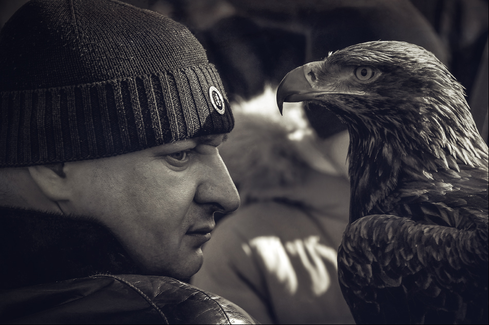 ���������� ���������