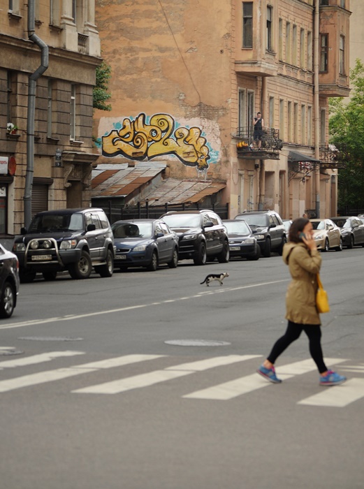 ���������� ����***