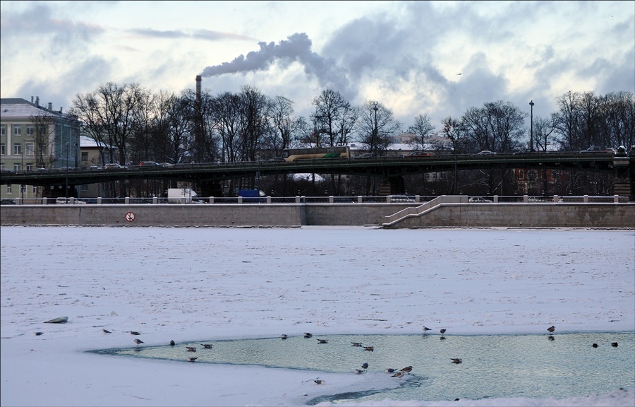 ���������� ***