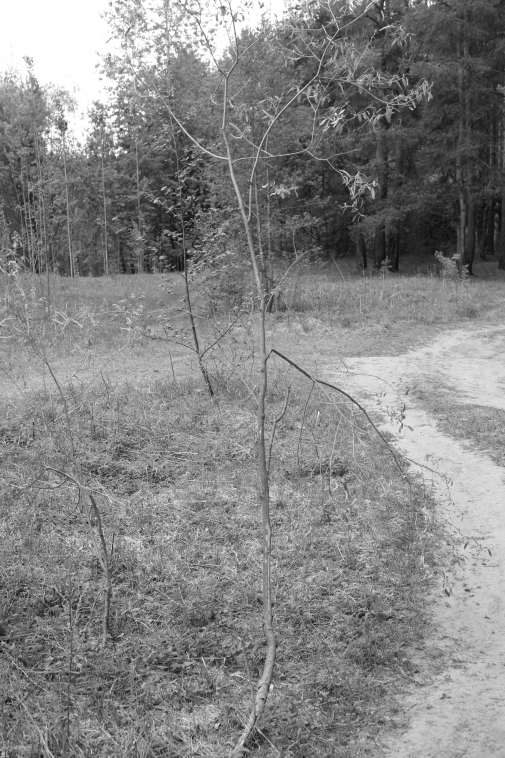 ���������� ����������