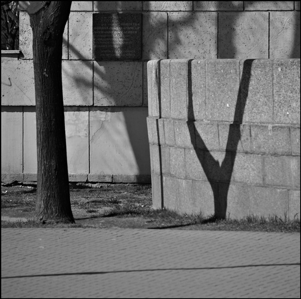 ���������� 8341