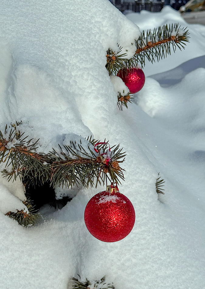 ���������� ***