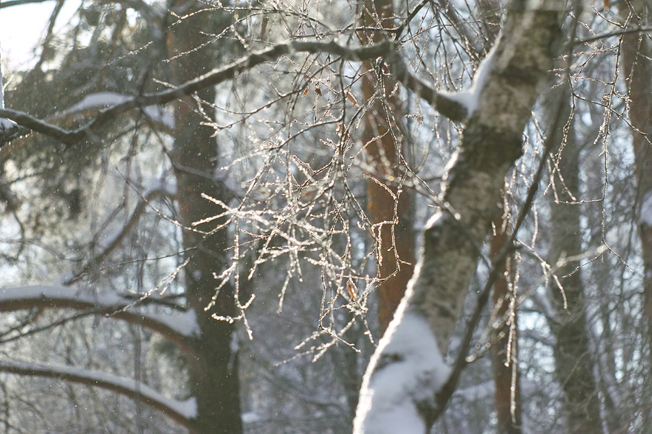 ���������� ����������� � �������