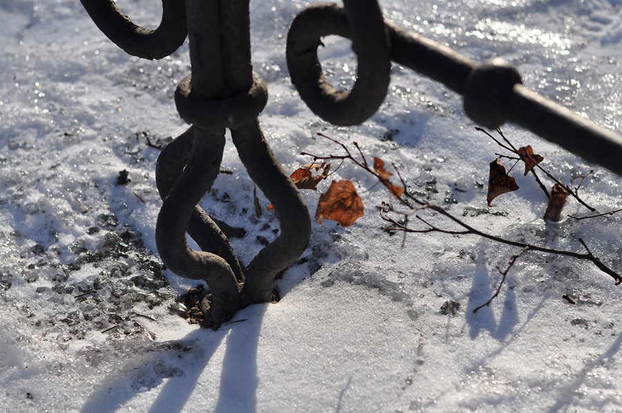 ���������� 1629