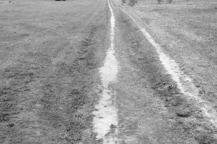 ���������� ����������