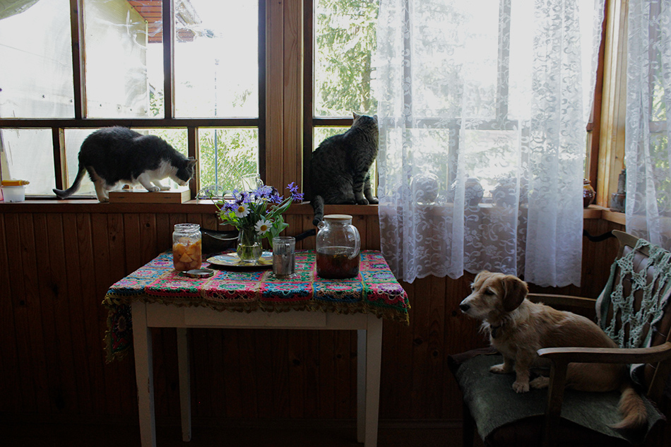 ���������� ��� �� �����