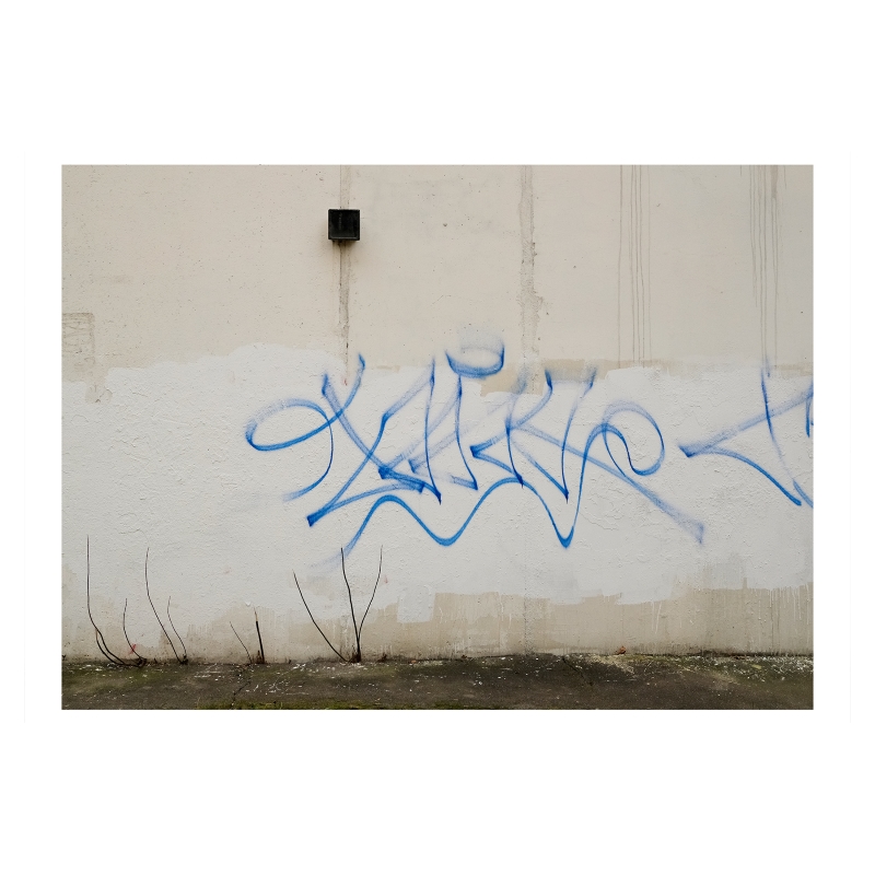 ���������� 1659