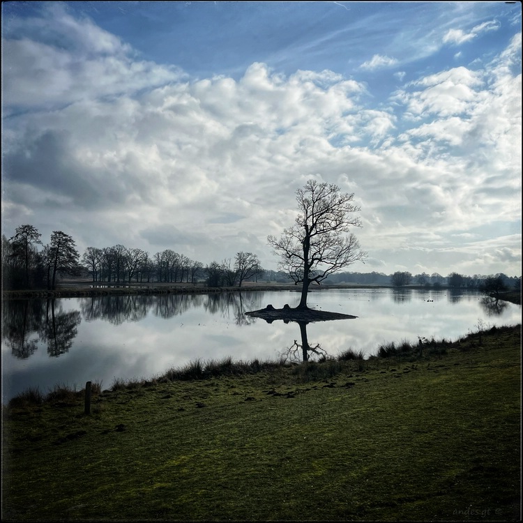 ���������� ***