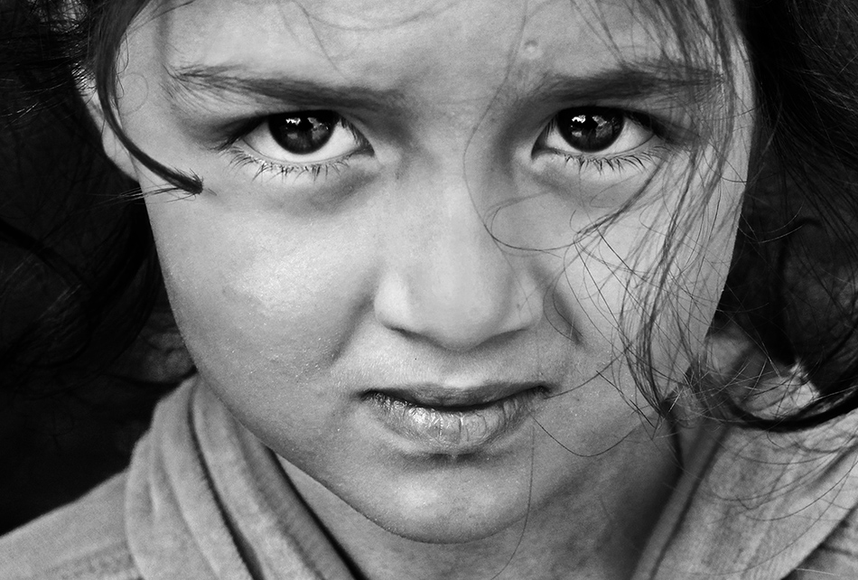 ���������� �������� ����