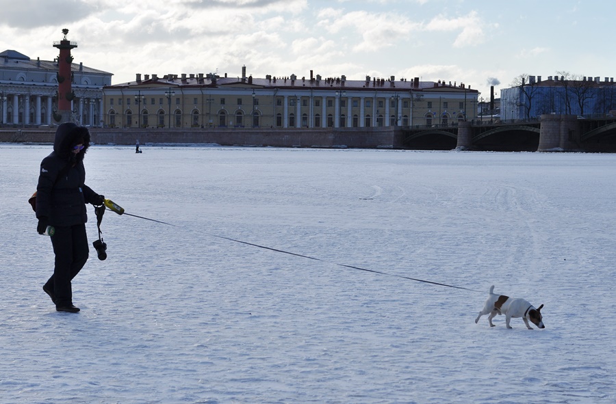 ���������� ***