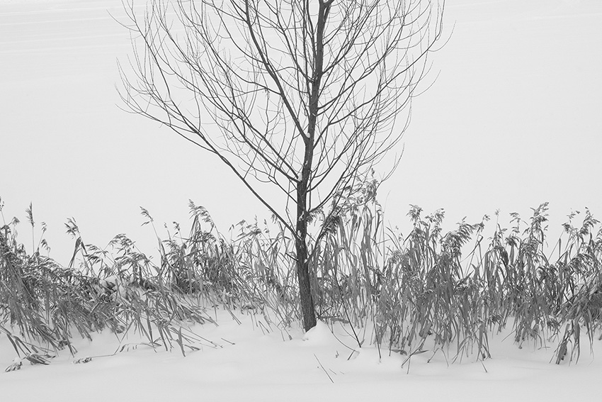 ���������� ***