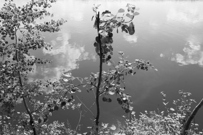 ���������� ����������