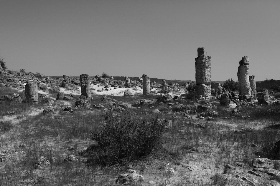 ���������� ***