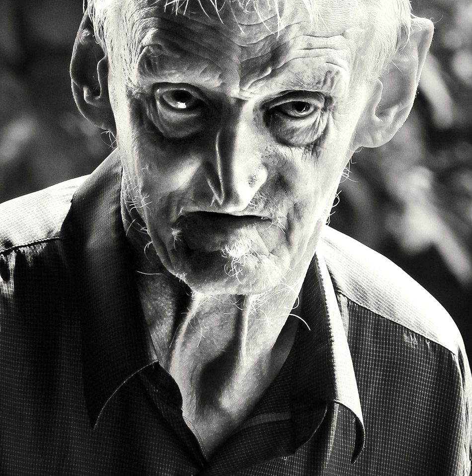 ���������� ����