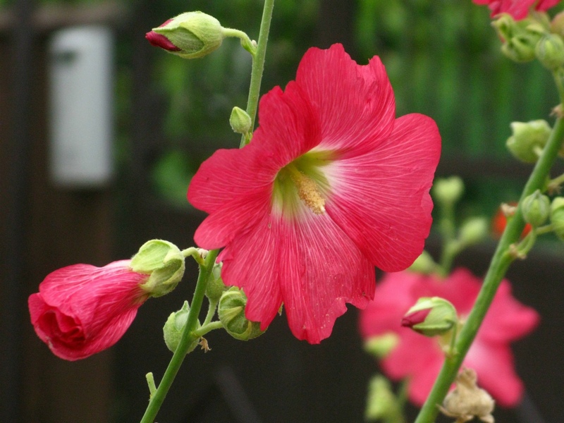 ���������� .