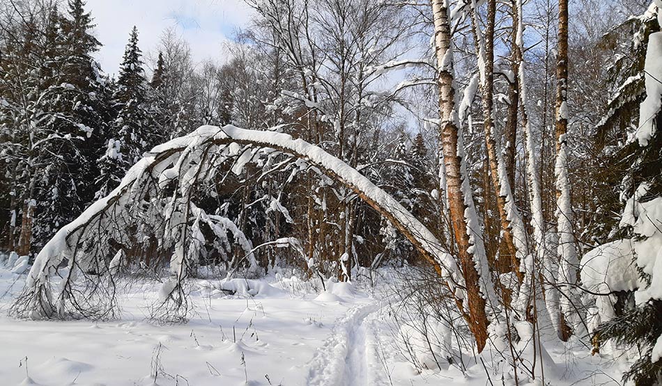 ���������� ����� ��ף�