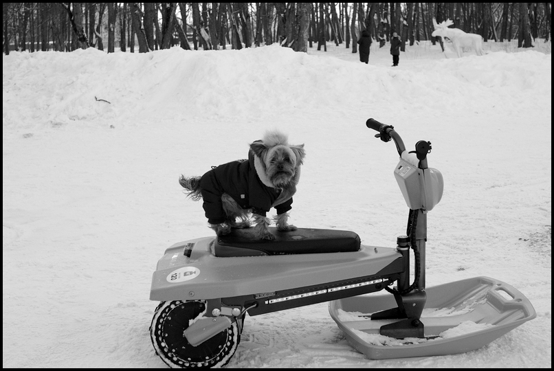 ���������� ���� �������� �� ����������.