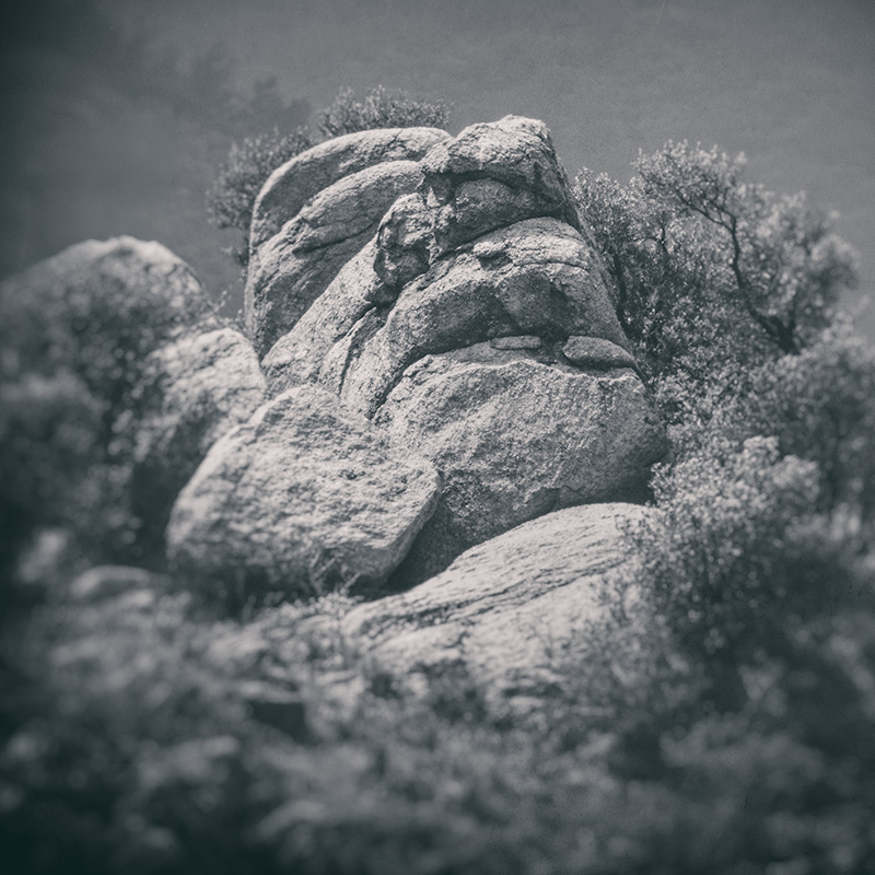 ���������� ������ ������