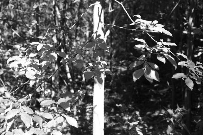 ���������� ����������