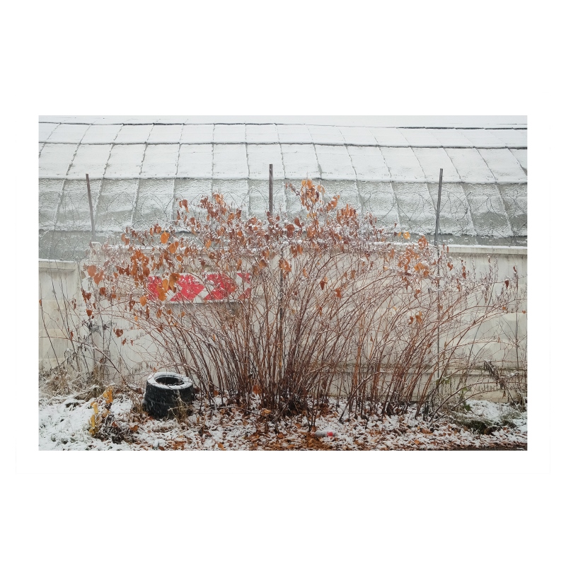 ���������� 1663