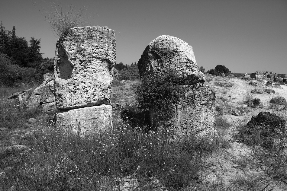 ���������� ***