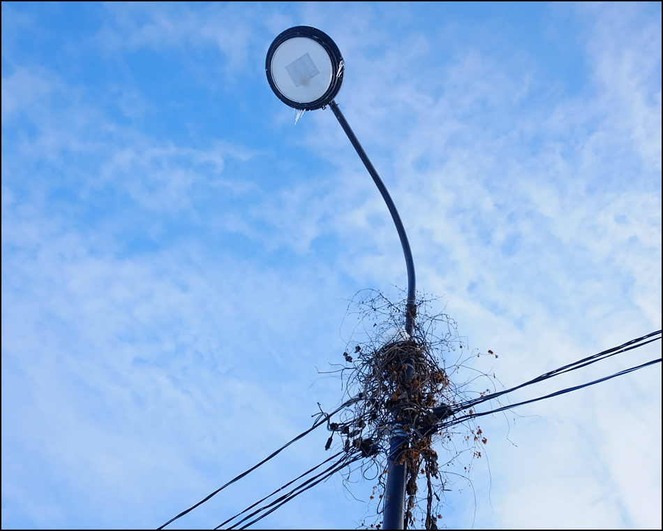 ���������� ��������� ���������