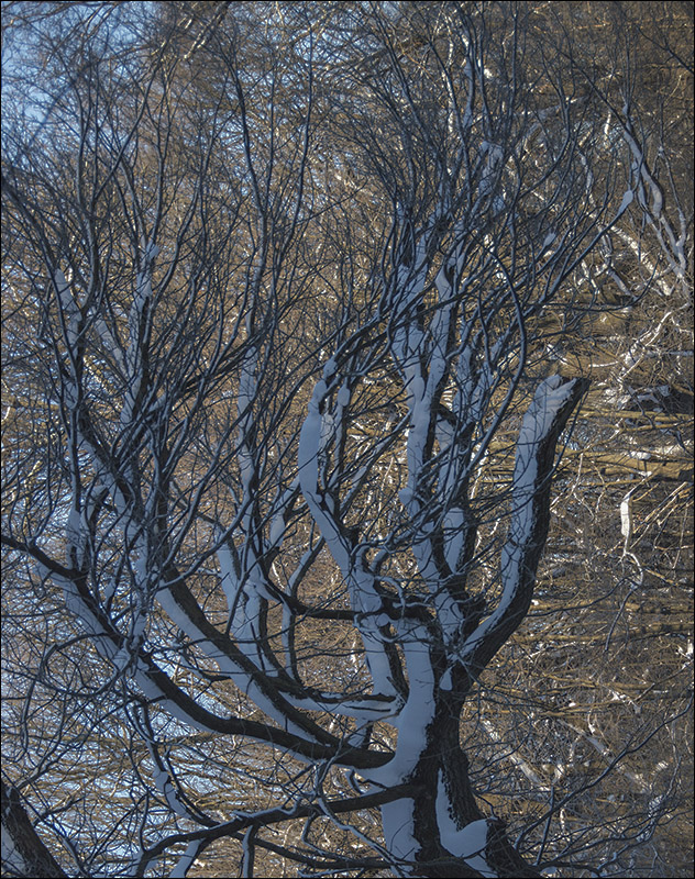 ���������� �����