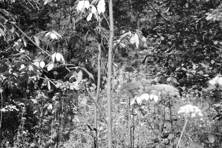 ���������� ����������