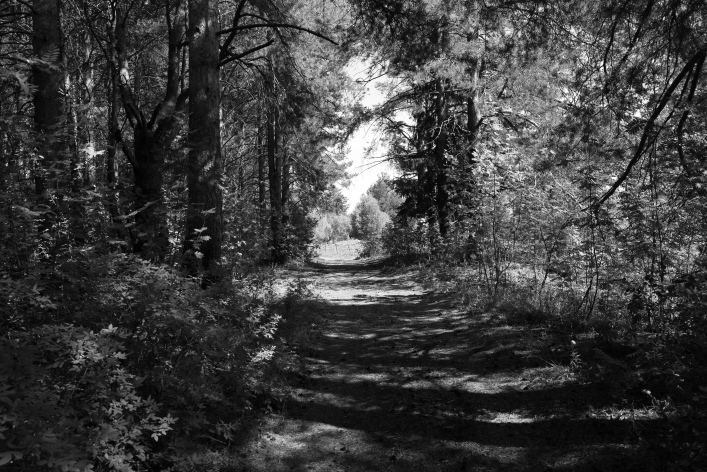 ���������� ����������