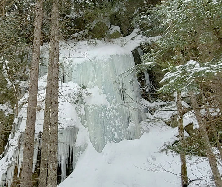 ���������� ������ ����