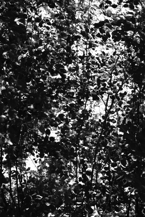 ���������� ����������